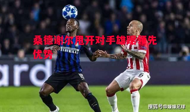 威廉希尔中文站-桑德谢尔甩开对手雄踞领先优势